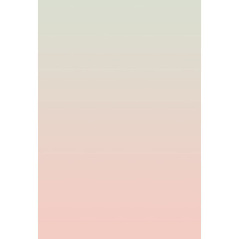 Avezano Light Green Fades To Light Pink Gradient Backdrop For Portrait Photography-AVEZANO