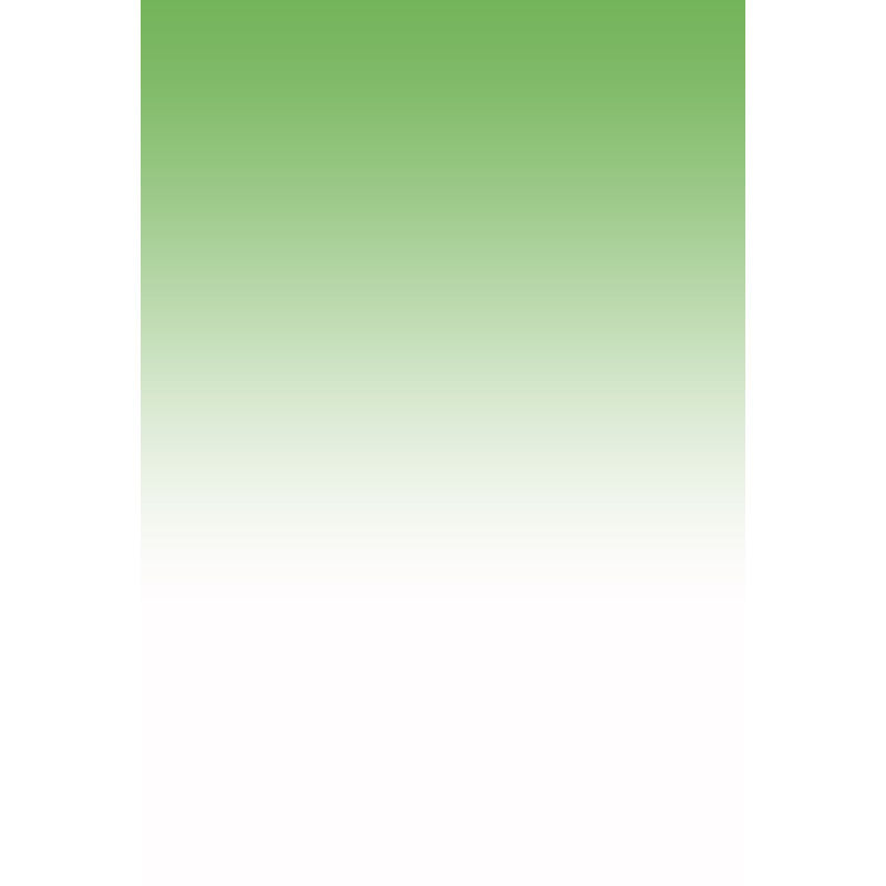 Avezano Green Fades To White Gradient Backdrop For Portrait Photography-AVEZANO
