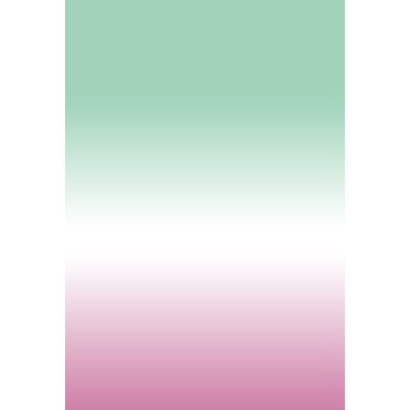 Avezano Green Fades To White To Pink Gradient Backdrop For Portrait Photography-AVEZANO