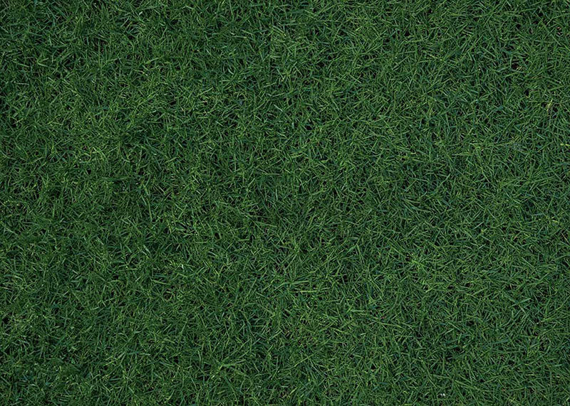 Avezano Lawn Flowers 2 pcs Spring Set Backdrop