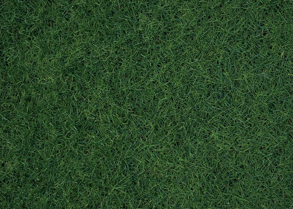 Avezano Spring Mushroom Forest 2 pcs Set Backdrop