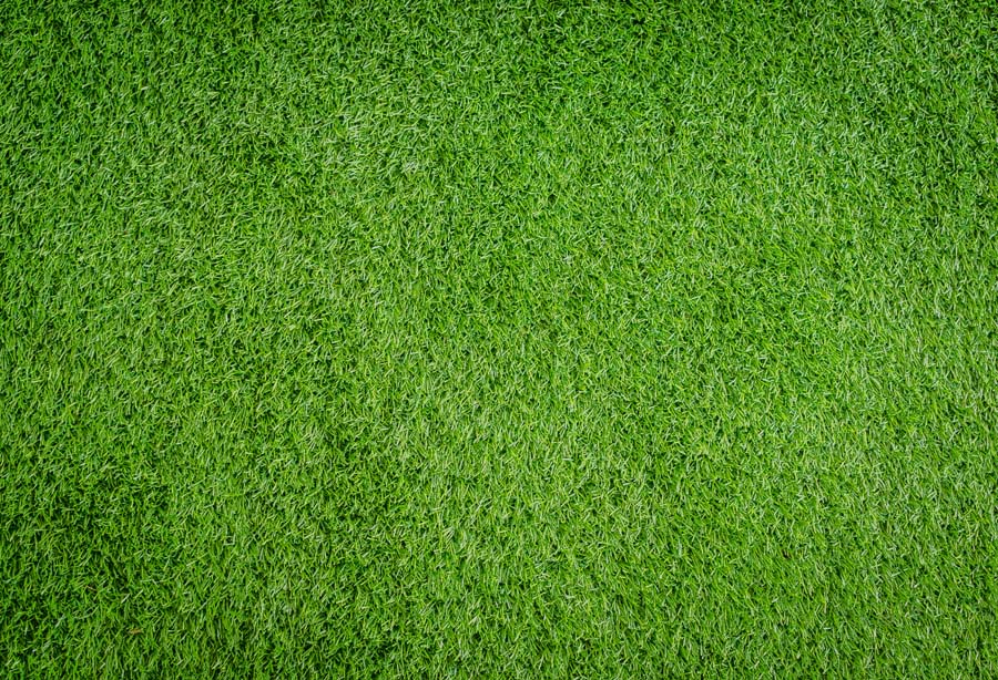 Avezano Spring Lawn and Butterflies 2 pcs Set Backdrop