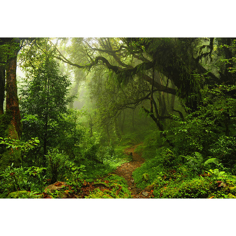 Avezano Spring Primeval Forest Photography Backdrop-AVEZANO
