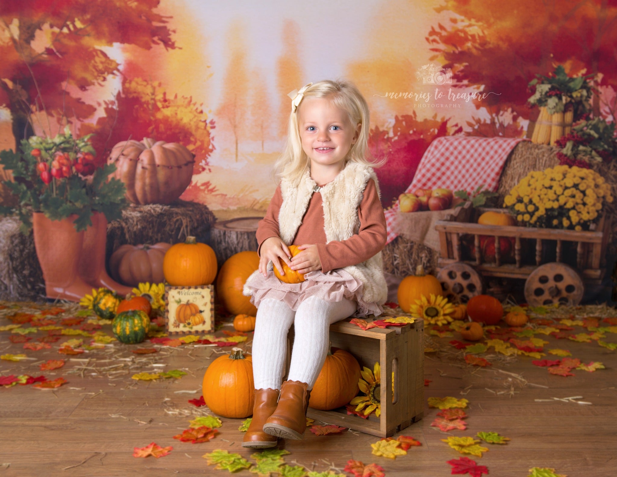 Avezano Farm Autumn Photography Backdrop-AVEZANO