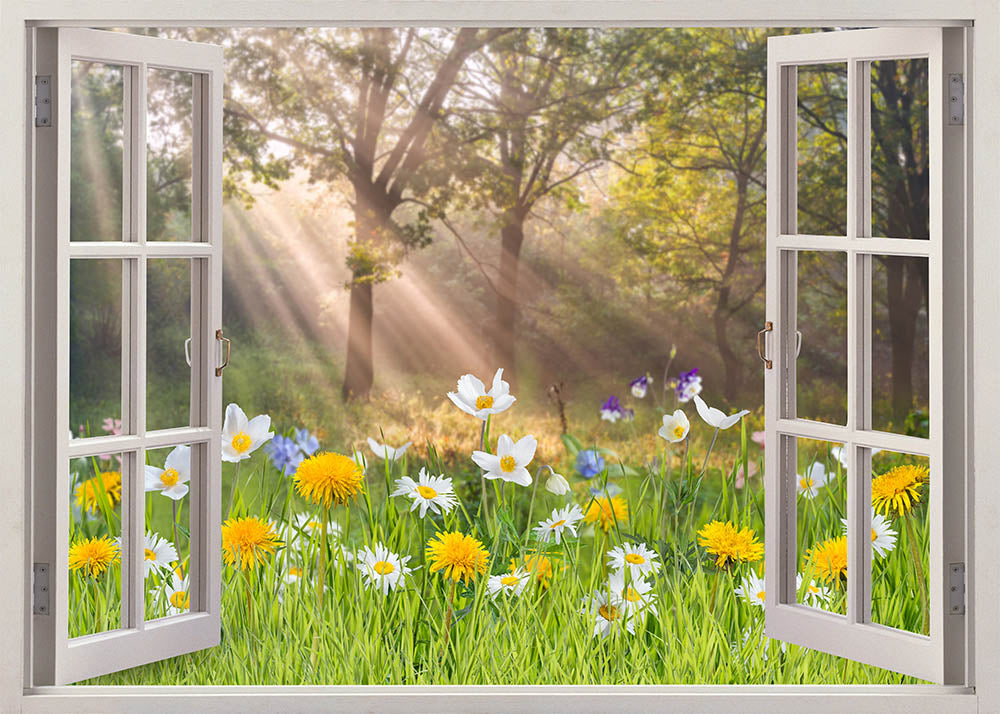 Avezano The View From The Window Photography Backdrop-AVEZANO