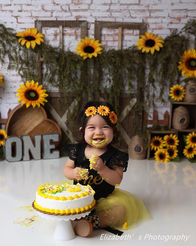 Avezano Door Panels and Sunflowers Photography Background by Stefany Figueroa-AVEZANO