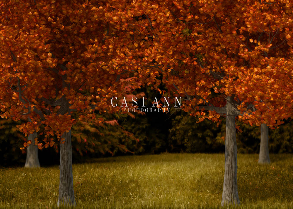 Avezano Orange Autumn Trees Photography Backdrop Designed By Casi Ann-AVEZANO