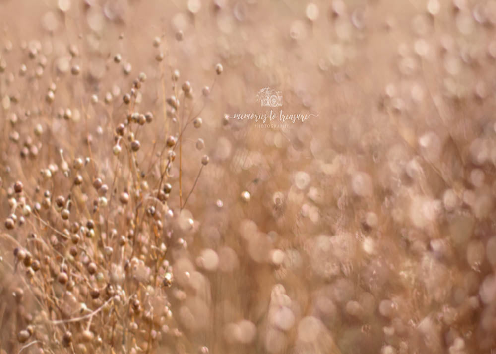 Avezano Plants Backdrop for Photography By Paula Easton-AVEZANO