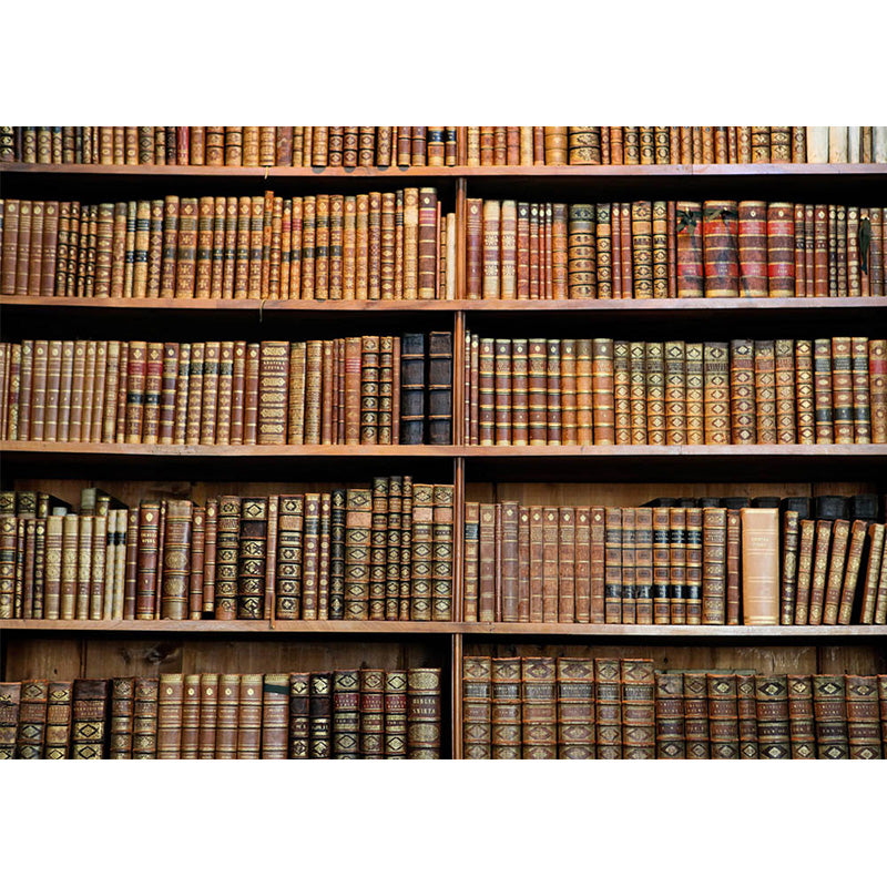 Avezano Bookshelf Scene Photography Backdrop-AVEZANO