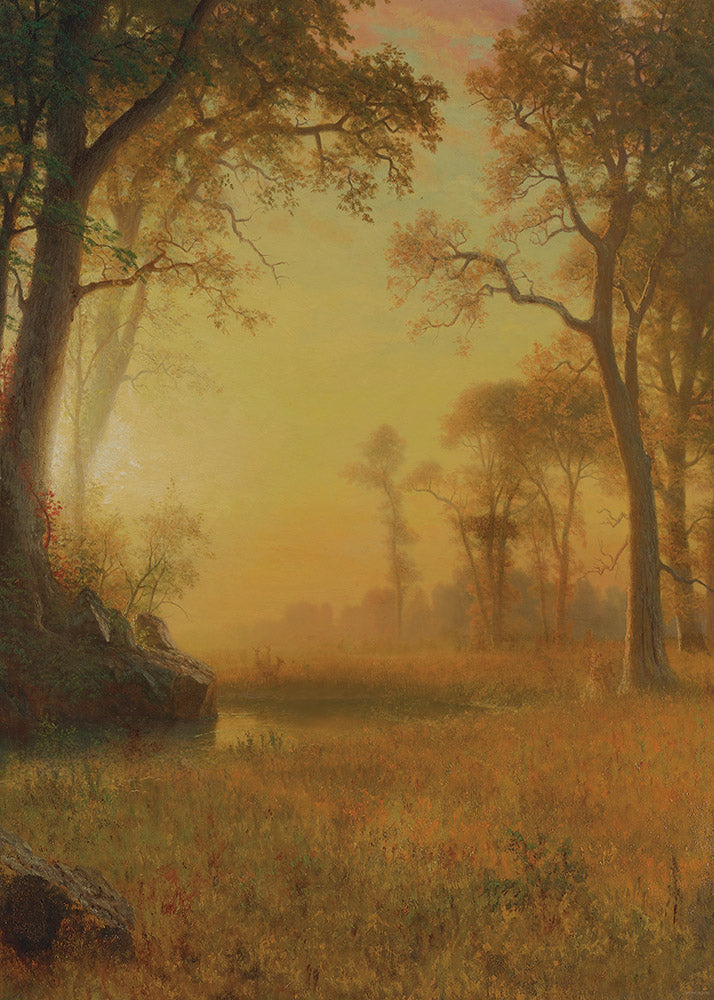 Avezano Dusk Darkens the Woods Oil Painting Backdrops For Photography-AVEZANO