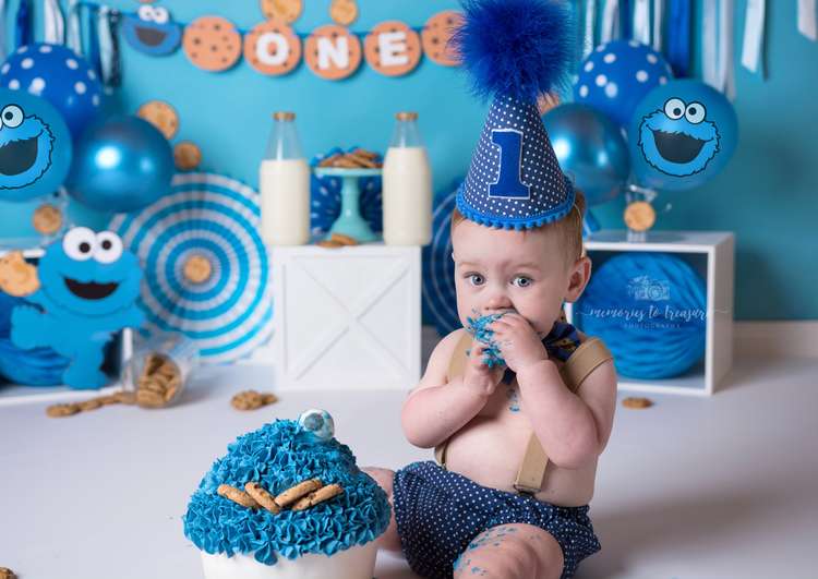 Avezano Cookie Monster Backdrop for Photography By Paula Easton