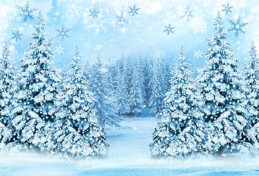 Avezano Abies Alba Forest Covered With Snow Photography Background-AVEZANO