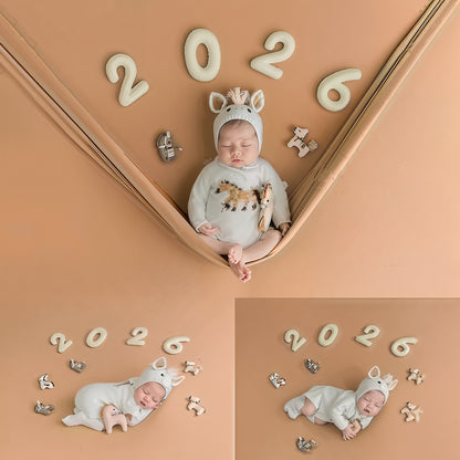 Avezano 2026 Horse Theme Newborn Photography Props