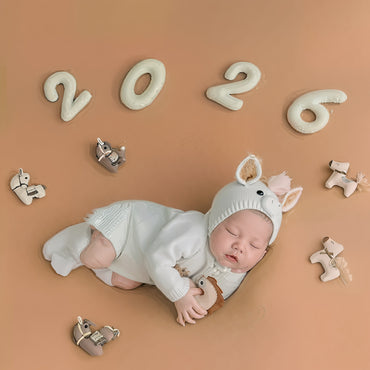 Avezano 2026 Horse Theme Newborn Photography Props