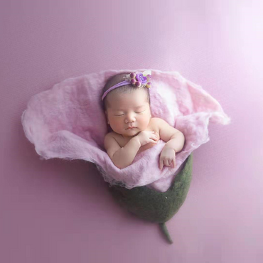 Avezano Newborn Handmade Wool Felt Bud Photo Prop