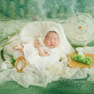 Avezano Vintage Oil Painting Style Baby Moon Photoshoot Tulle Outfit Props