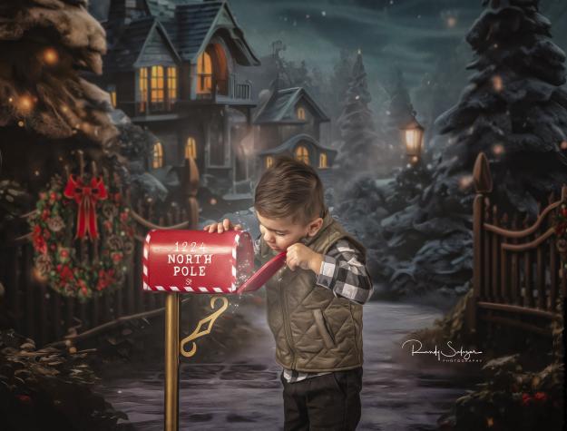 Avezano Christmas Lights and Snow Photography Backdrop