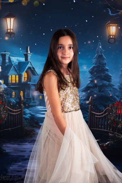 Avezano Christmas Lights and Snow Photography Backdrop