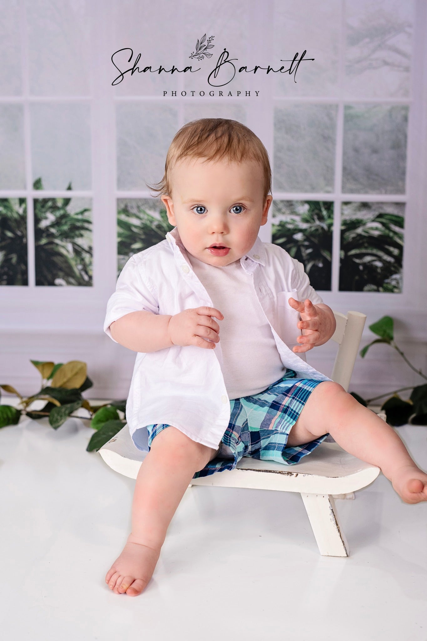 Toile de fond pour photographie des fenêtres de la Maison Blanche d'Avezano conçue par Polly Ro Design