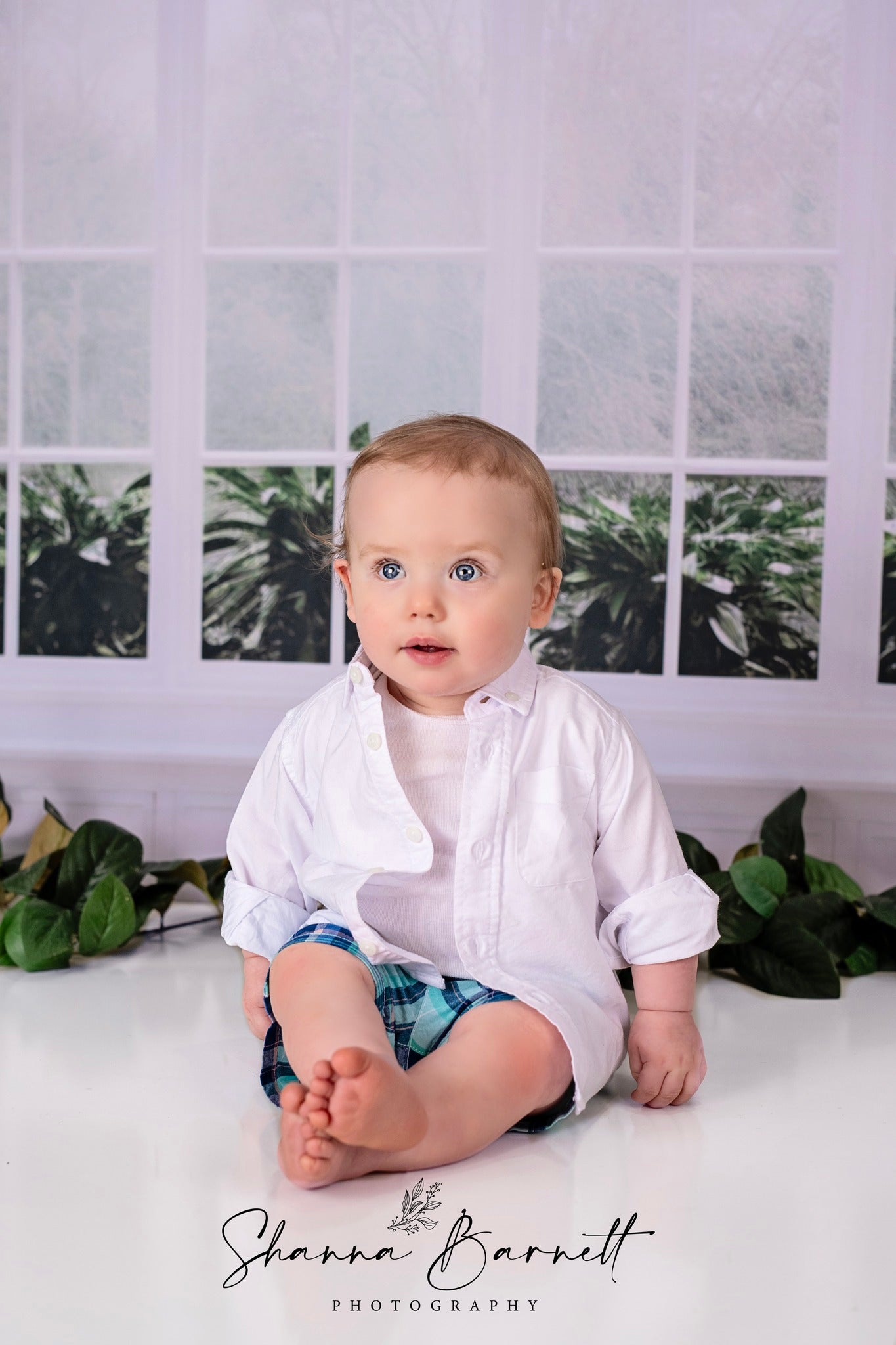 Toile de fond pour photographie des fenêtres de la Maison Blanche d'Avezano conçue par Polly Ro Design
