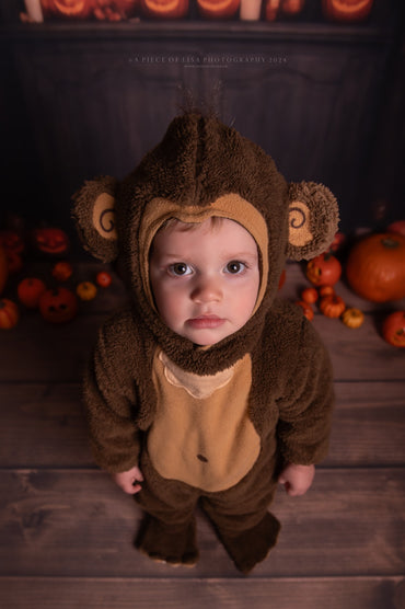 Toile de fond pour photographie de citrouilles d'Halloween Avezano