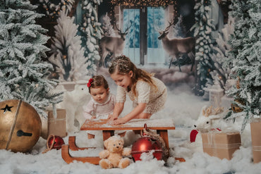 Entrepôt de Noël d'Avezano et élan en toile de fond pour photographie hivernale 