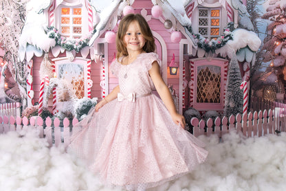 Avezano Winter Christmas Pink House and Gift Photography Backdrop