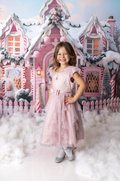 Avezano Winter Christmas Pink House and Gift Photography Backdrop