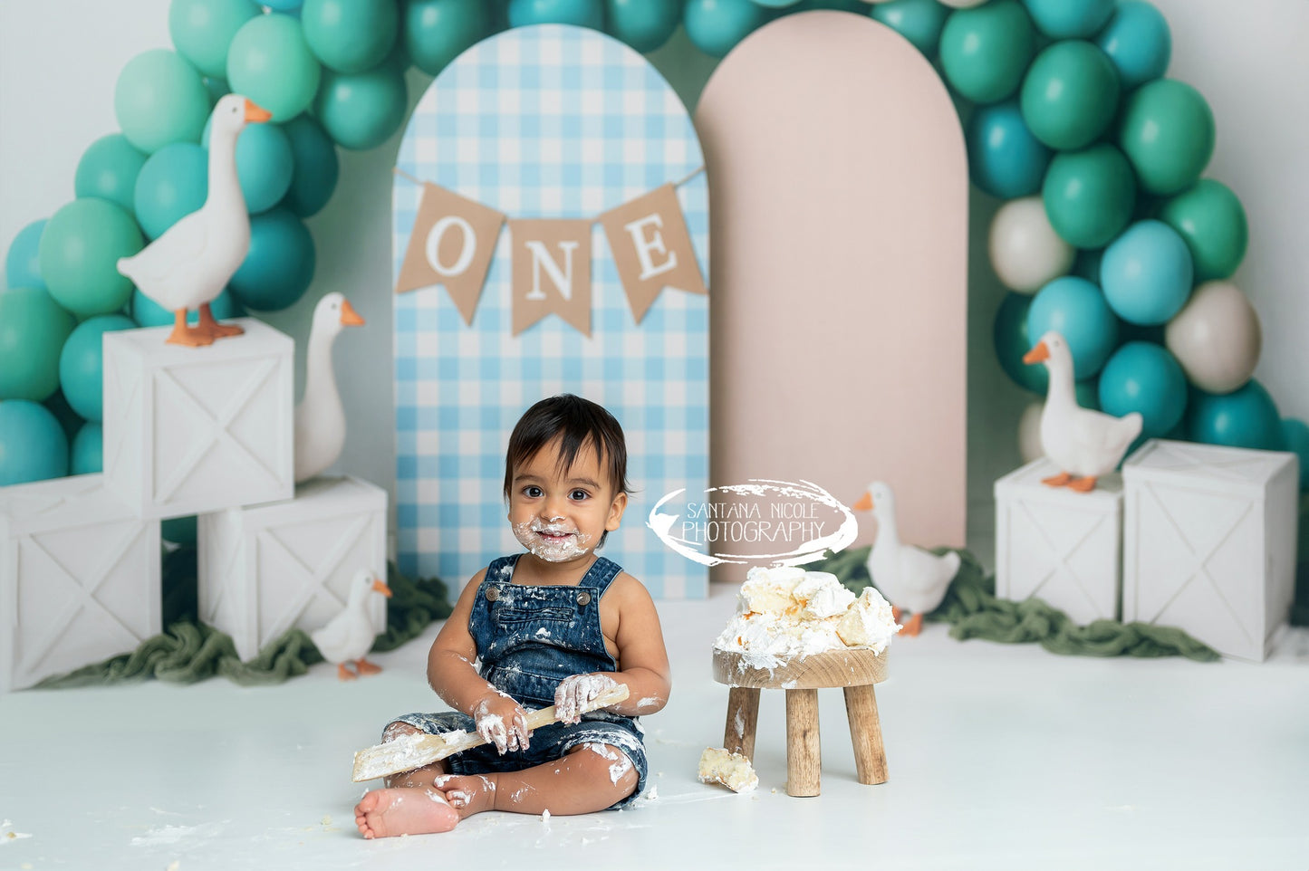 Avezano Blue and White Plaid Arch and White Goose Birthday Party Backdrop Designed By Polly Ro Design