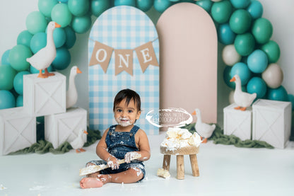 Avezano Blue and White Plaid Arch and White Goose Birthday Party Backdrop Designed By Polly Ro Design