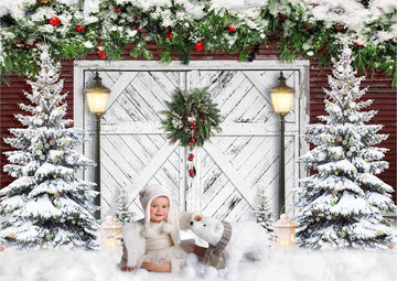 Avezano Christmas Snow White Wooden Door Backdrop For Photography