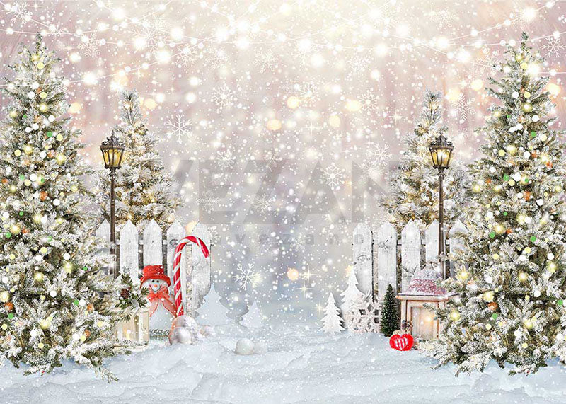 Avezano Winter Christmas Carousel Photography Backdrop Room Set