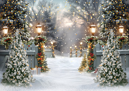 Avezano Winter Christmas Snow Photography Backdrop