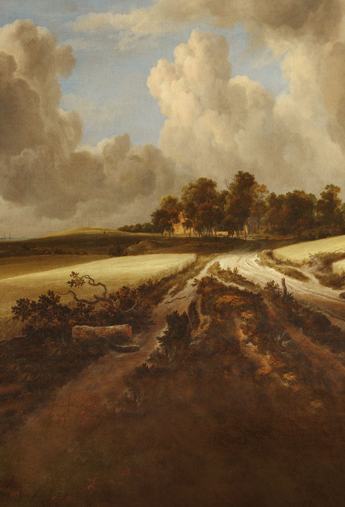 Avezano Field Path Painting Style Fine Art Backdrop For Photography-AVEZANO