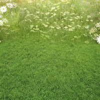 Avezano Spring Flowers and Lawn 2 pcs Set Backdrop