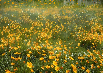 Avezano Yellow Flowers and Grass in Spring Photography Backdrop