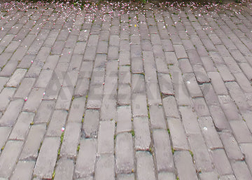 Avezano Spring Petal Floor Flooring Photography Backdrop