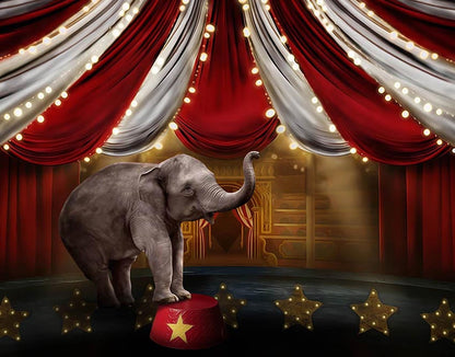 VIP Clearance Sale Avezano Elephants in the Circus Photography Backdrop