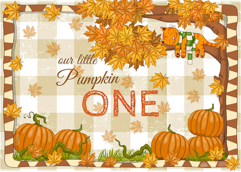 Special Offers Avezano One-year Old Autumn Pumpkin Backdrop For Photography