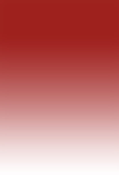 VIP Clearance Sale Avezano Red Burgundy Gradient Solid Photography Backdrop