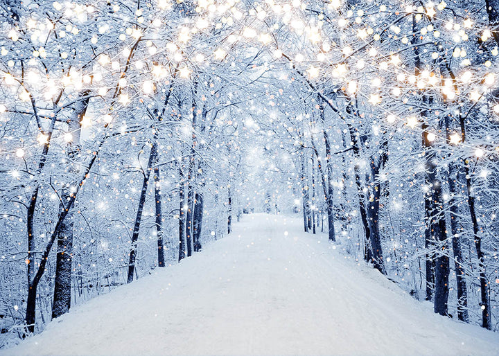 Avezano Winter Snow Forest Lamplight Photography Backdrop-AVEZANO