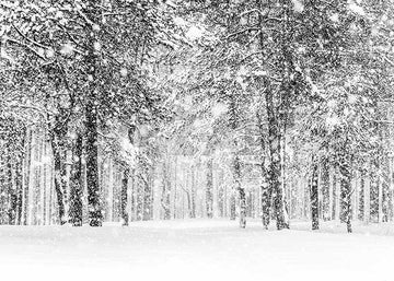 Avezano Snow Covered the Woods Photography Backdrop-AVEZANO