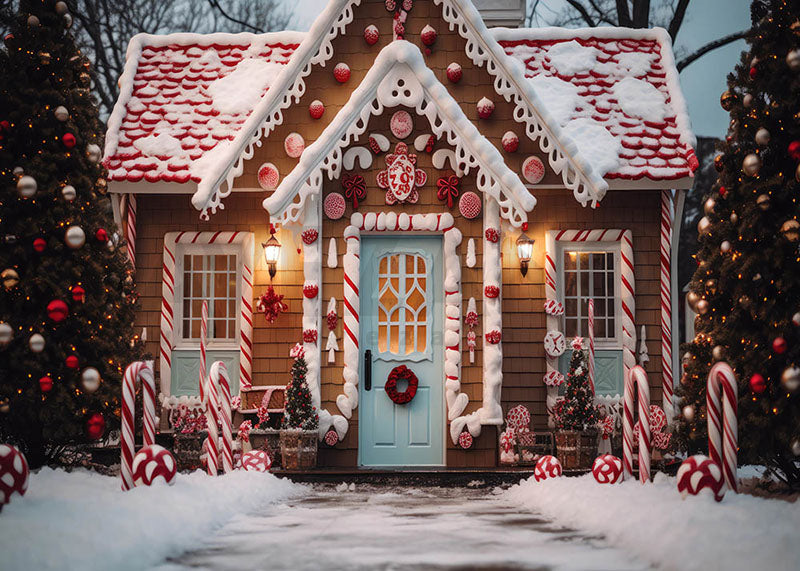 Avezano Christmas Snow Candy House Photography Backdrop