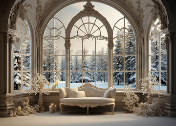 Avezano Indoor Scenery in Winter Snow Photography Backdrop