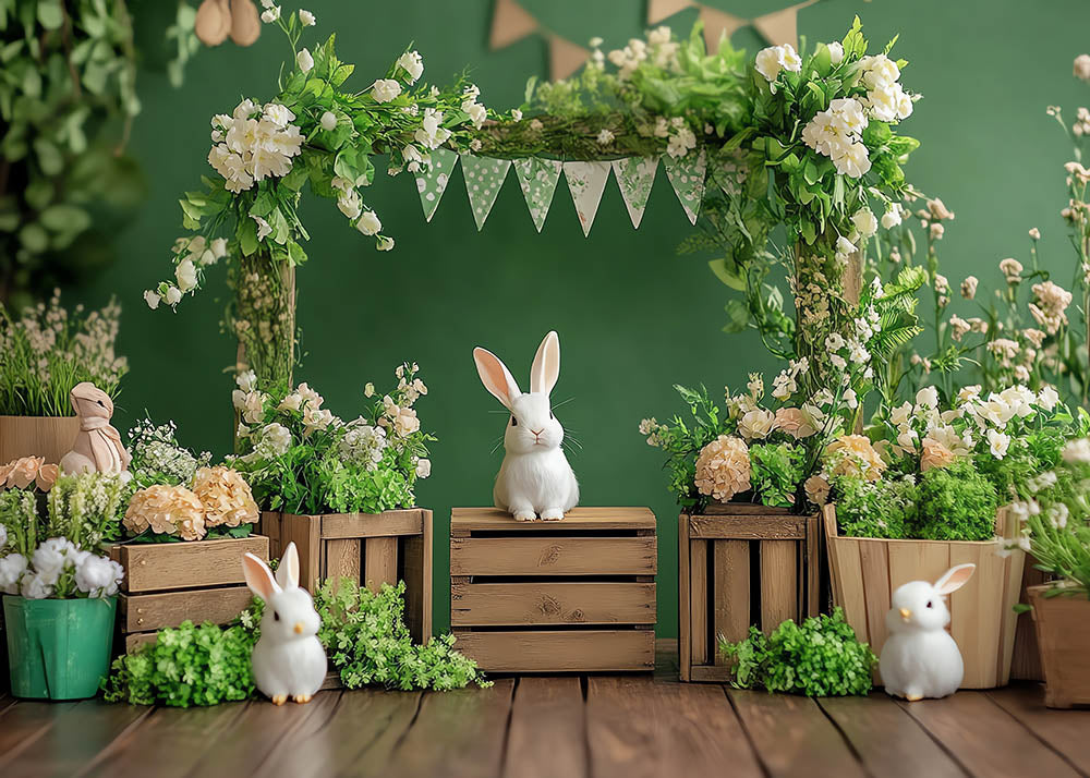 Toile de fond pour photographie de printemps, de Pâques, de caisses en bois et de vignes d'Avezano
