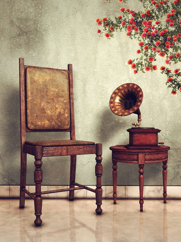 Avezano Spring Vintage Seats and Records Backdrops For Photography