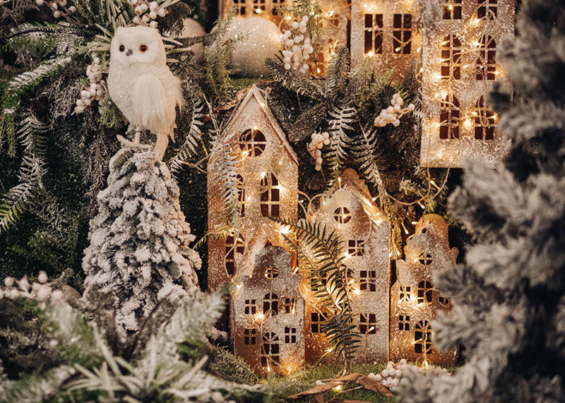 Avezano White Owl Christmas Town Photography Background-AVEZANO