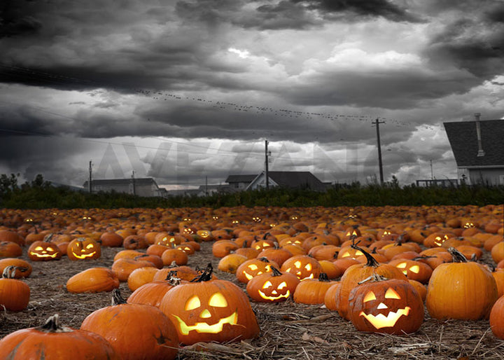 Avezano Halloween Pumpkin Patch Backdrop for Photography-AVEZANO