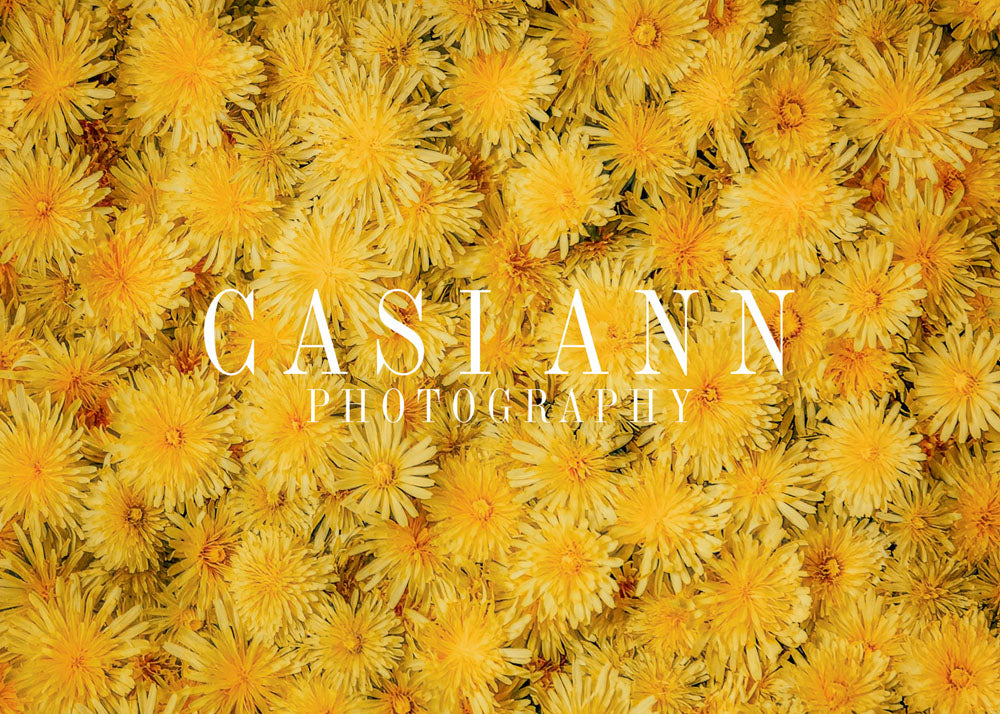 Avezano Bright Dandelions Photography Backdrop Designed By Casi Ann-AVEZANO