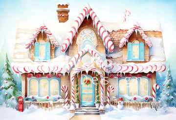 Avezano Christmas Snow House Photography Backdrop Designed By Polly Ro Design